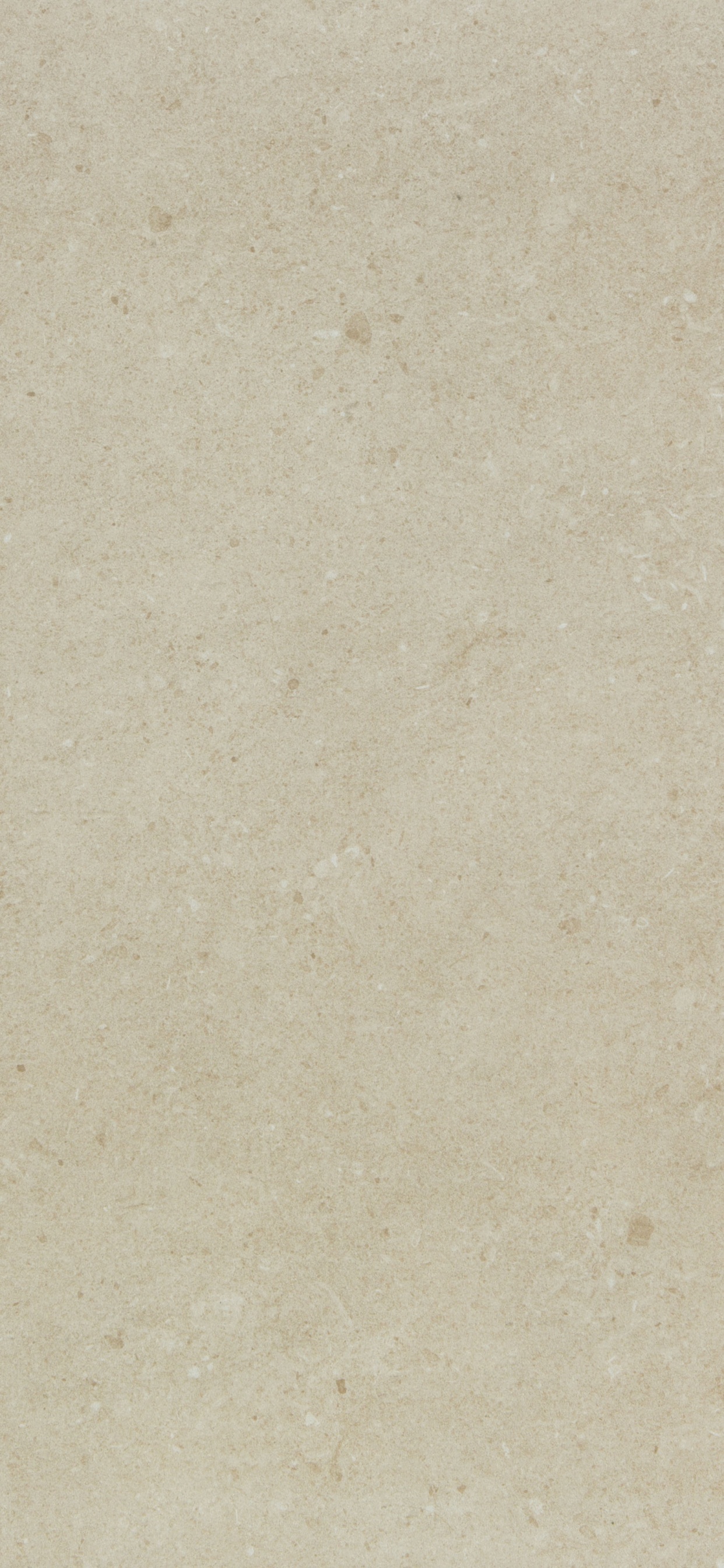 Sol en Béton Blanc et Gris. Wallpaper in 1242x2688 Resolution