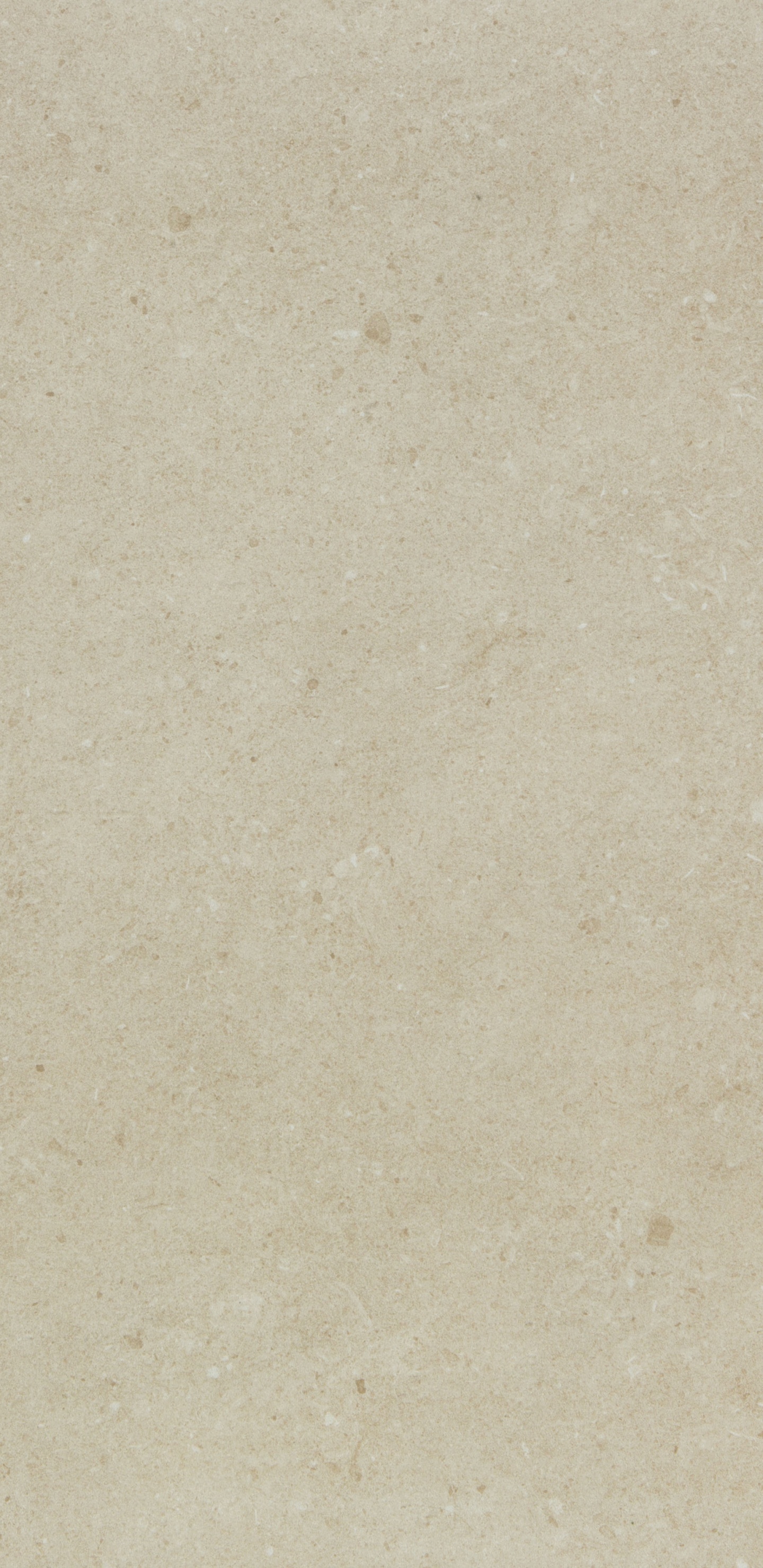 Sol en Béton Blanc et Gris. Wallpaper in 1440x2960 Resolution