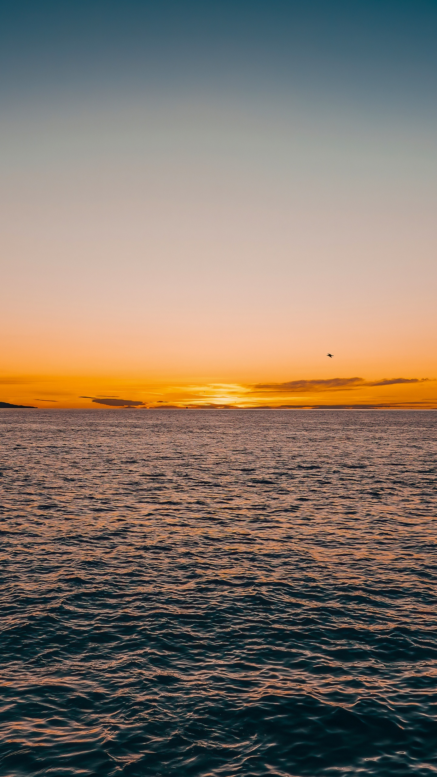 Horizont, Hardcore-Rave-Mixtape 001, Wasser, Wasserressourcen, Atmosphäre. Wallpaper in 1440x2560 Resolution