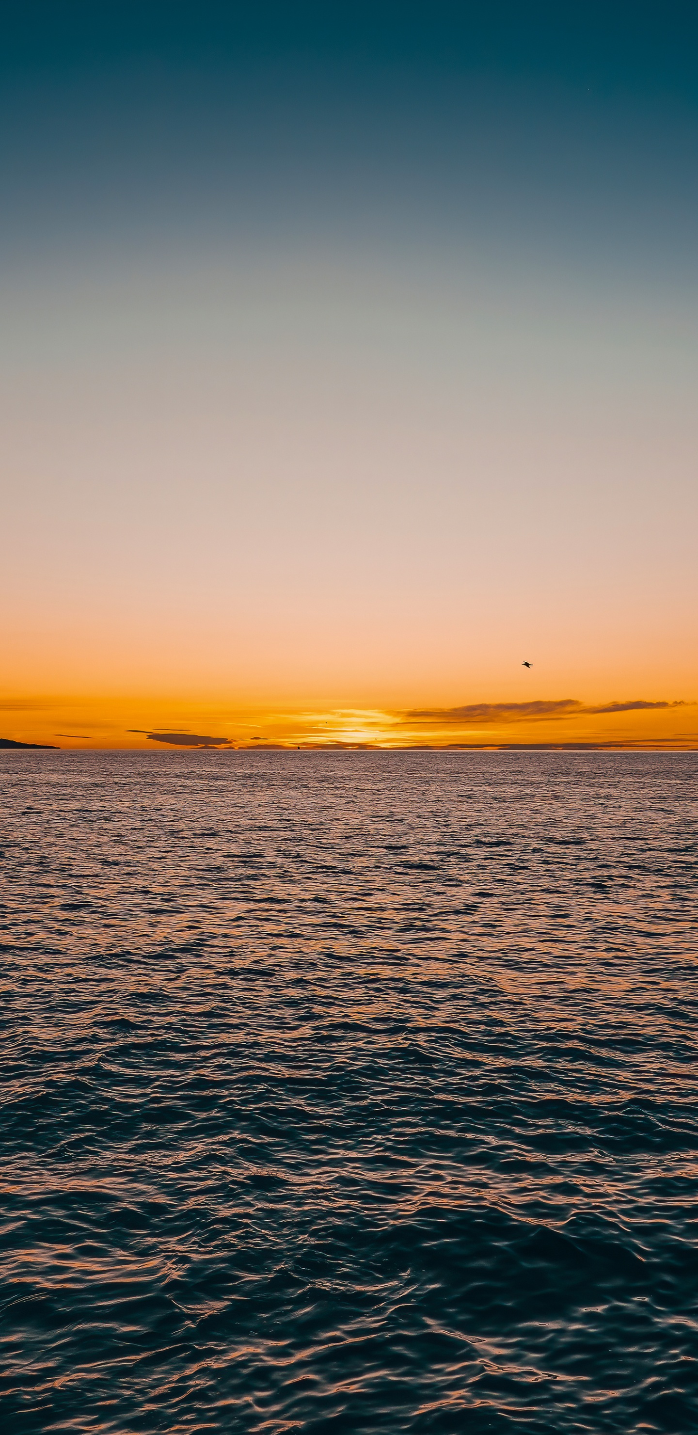 Horizont, Hardcore-Rave-Mixtape 001, Wasser, Wasserressourcen, Atmosphäre. Wallpaper in 1440x2960 Resolution