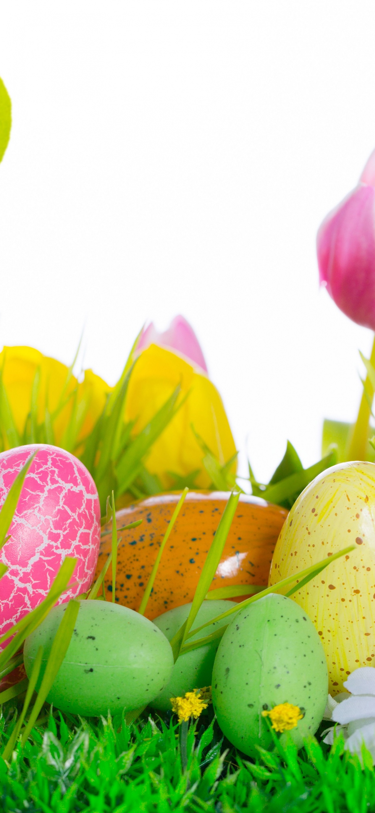 Oeuf de Pâques, Pâques, Printemps, Pétale, Usine. Wallpaper in 1242x2688 Resolution