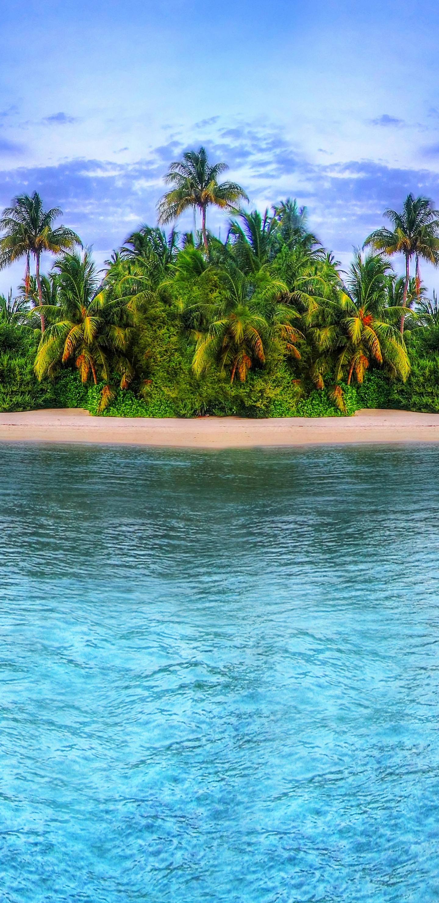 Palmeras Verdes en la Isla Durante el Día. Wallpaper in 1440x2960 Resolution