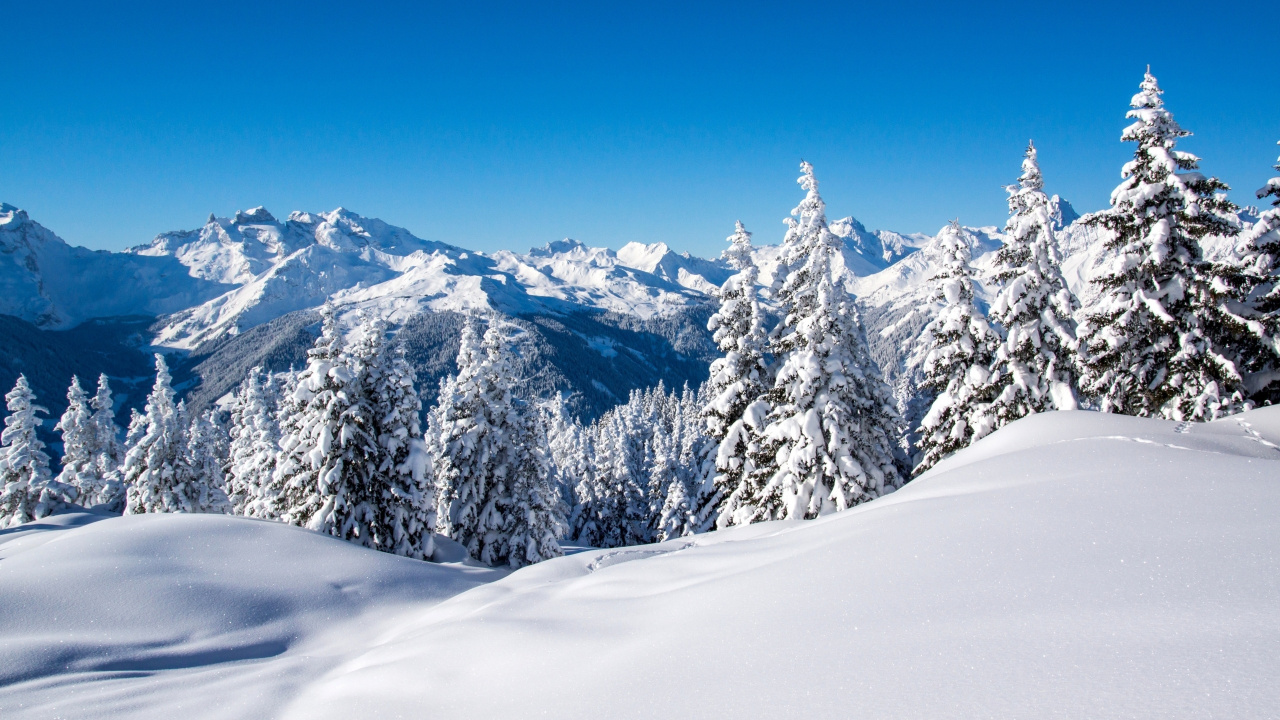 Schneebedeckter Berg Unter Blauem Himmel Tagsüber. Wallpaper in 1280x720 Resolution