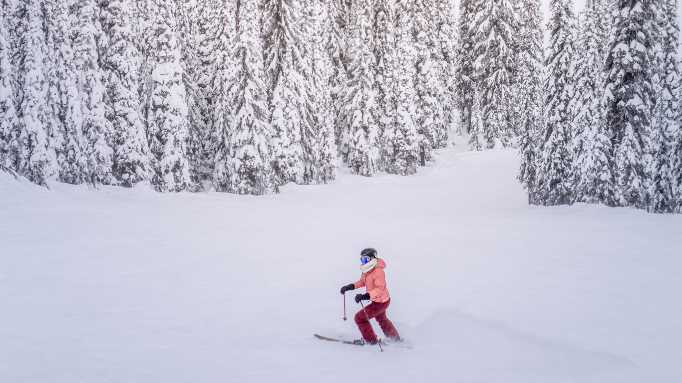 Person in Red Jacket Standing on Snow Covered Ground Near Trees During Daytime. Wallpaper in 1366x768 Resolution