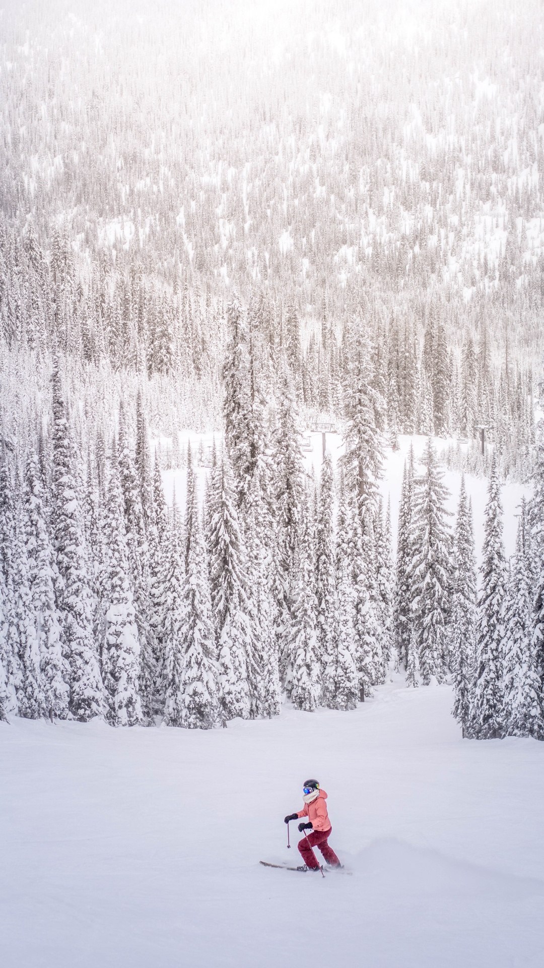Persona en Chaqueta Roja de Pie Sobre un Suelo Cubierto de Nieve Cerca de Los Árboles Durante el Día. Wallpaper in 1080x1920 Resolution