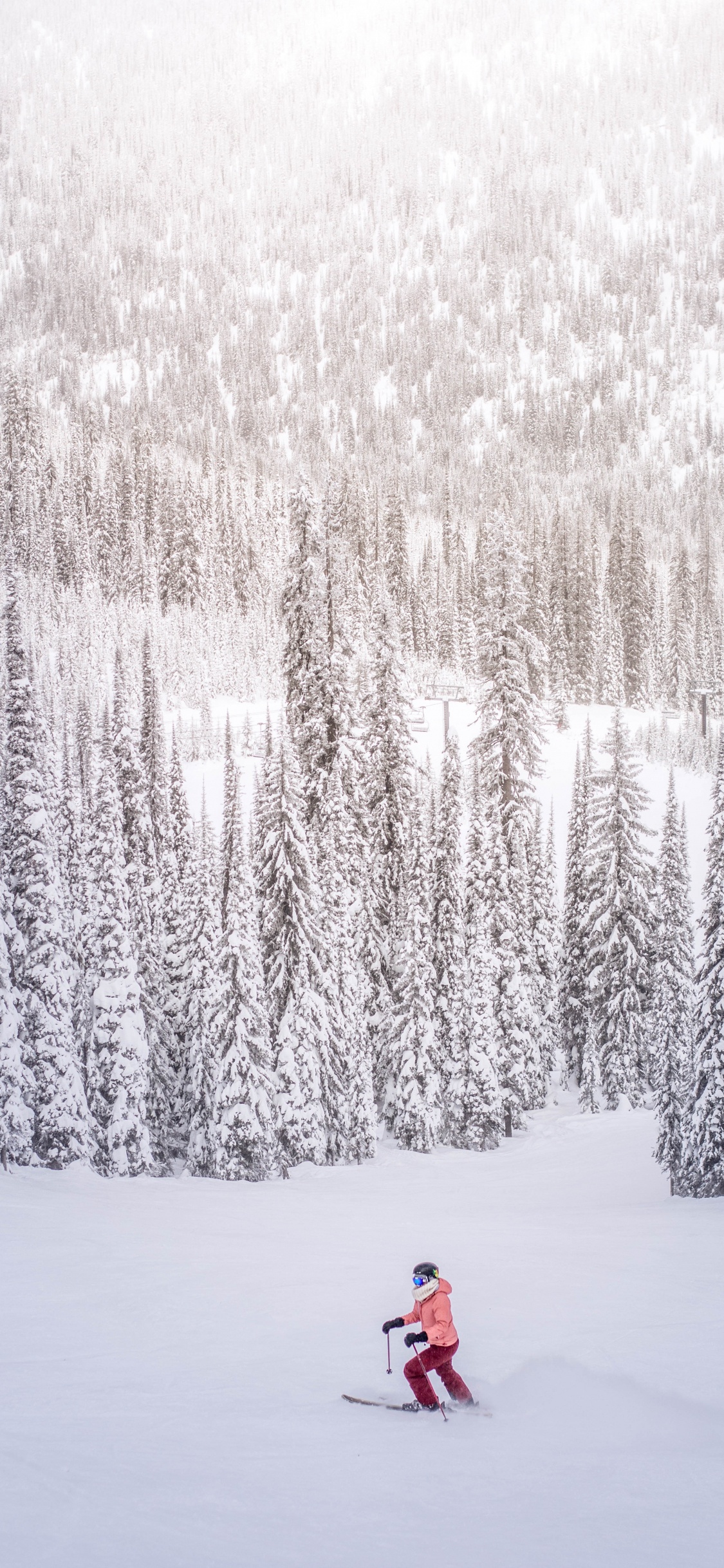Persona en Chaqueta Roja de Pie Sobre un Suelo Cubierto de Nieve Cerca de Los Árboles Durante el Día. Wallpaper in 1125x2436 Resolution