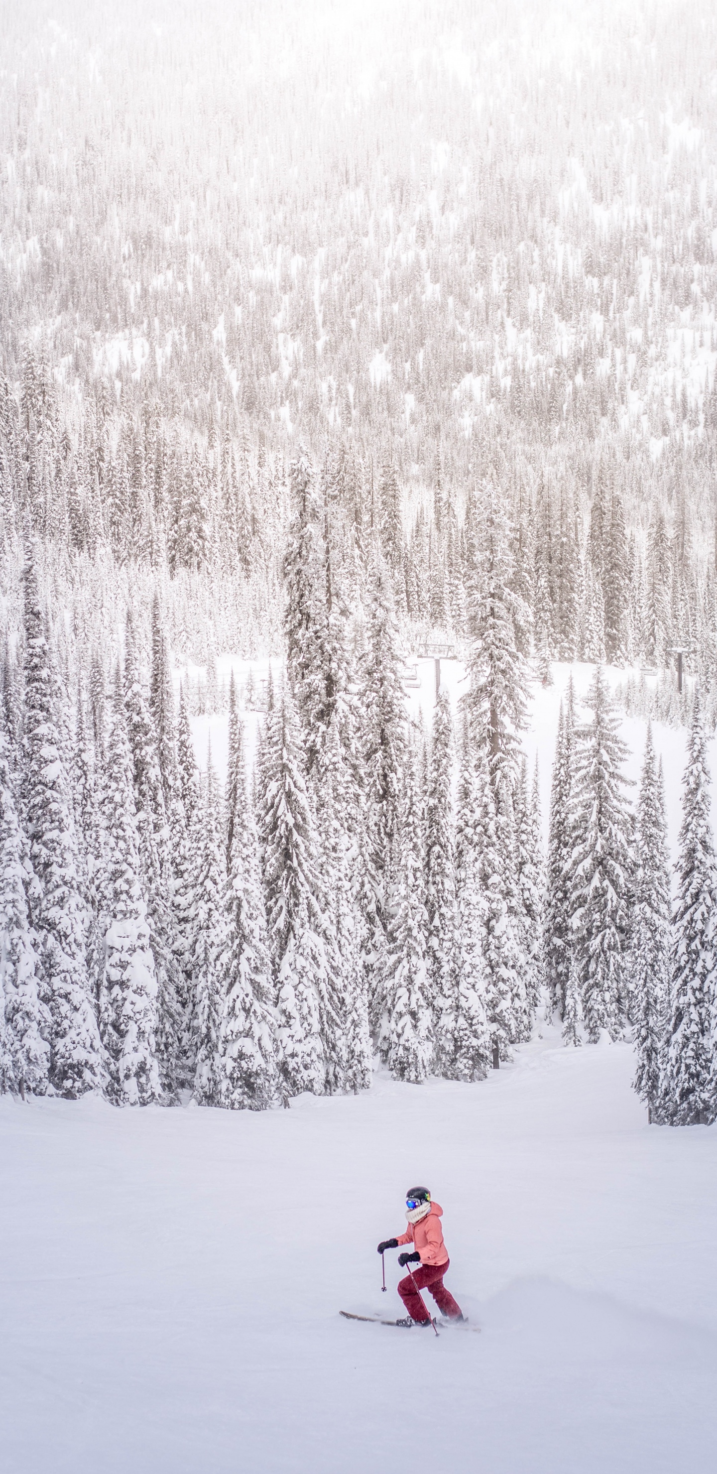 Persona en Chaqueta Roja de Pie Sobre un Suelo Cubierto de Nieve Cerca de Los Árboles Durante el Día. Wallpaper in 1440x2960 Resolution