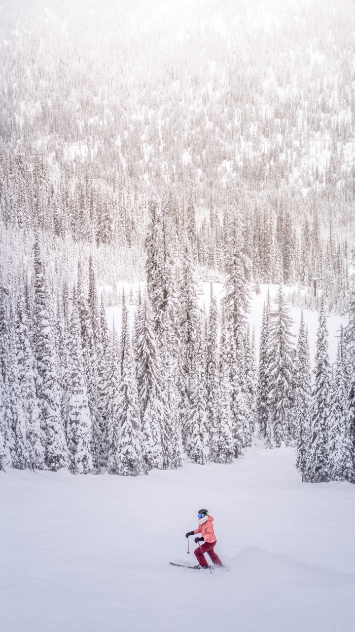 Persona en Chaqueta Roja de Pie Sobre un Suelo Cubierto de Nieve Cerca de Los Árboles Durante el Día. Wallpaper in 720x1280 Resolution
