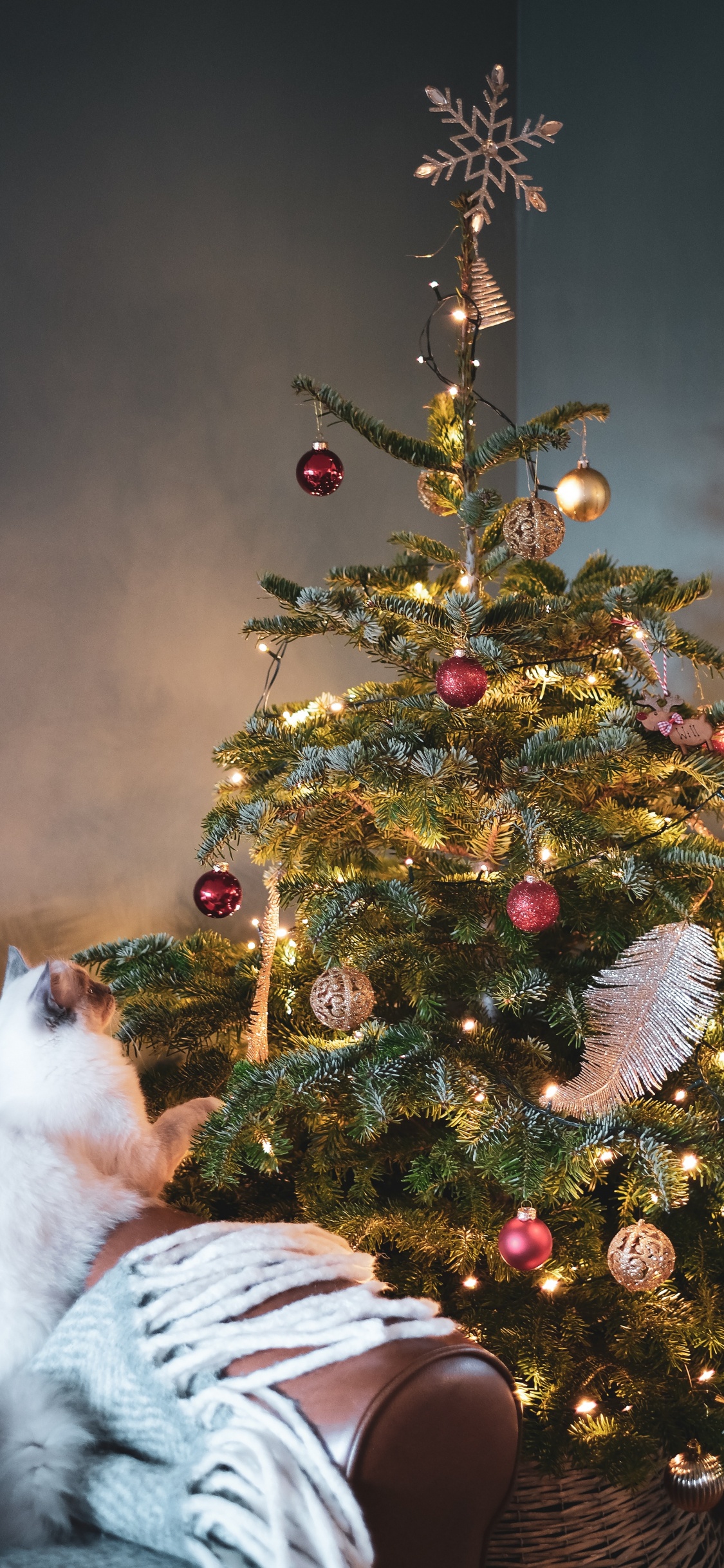 Weihnachtsbaum, Baum-topper, Verzierung, Christmas Ornament, Weihnachtsbaumspitze. Wallpaper in 1125x2436 Resolution