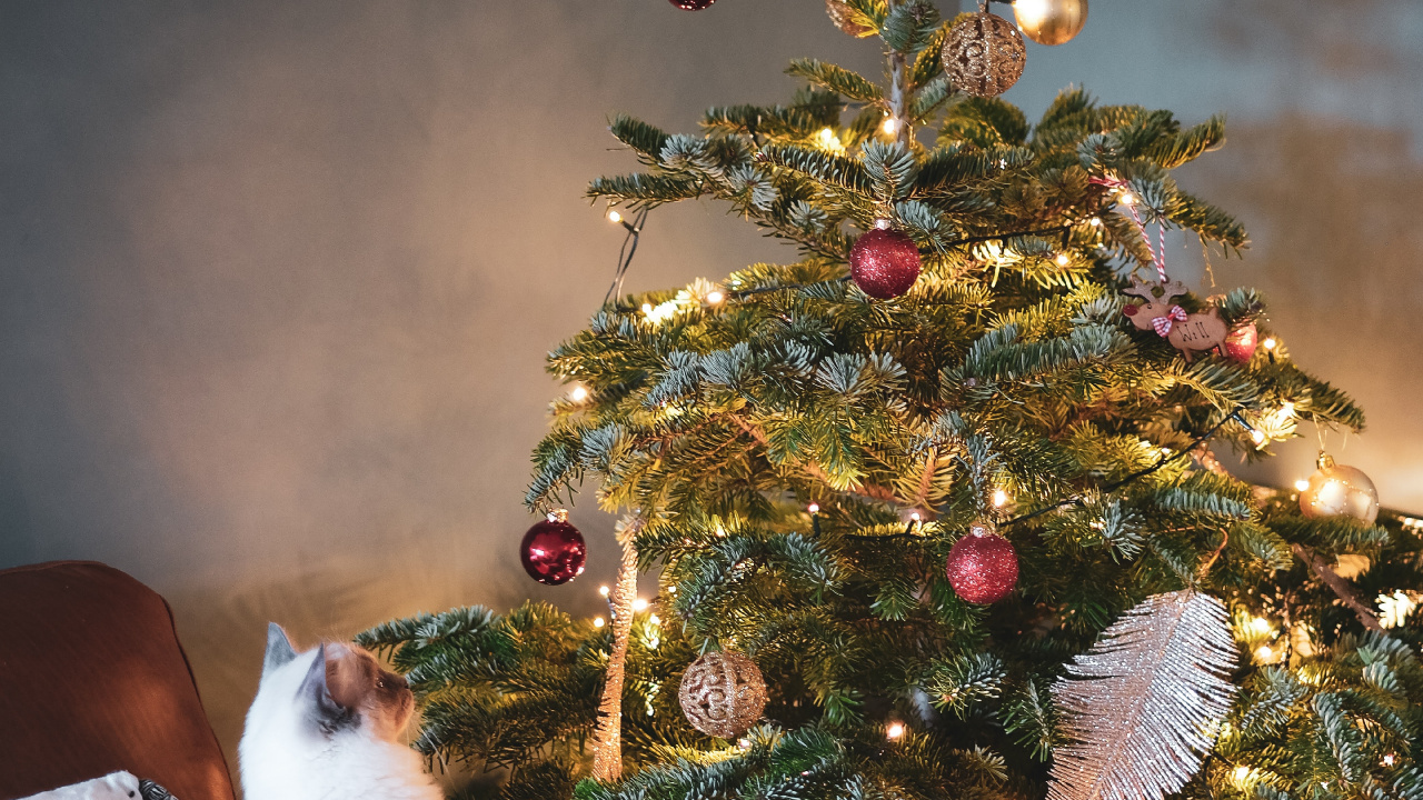 Weihnachtsbaum, Baum-topper, Verzierung, Christmas Ornament, Weihnachtsbaumspitze. Wallpaper in 1280x720 Resolution