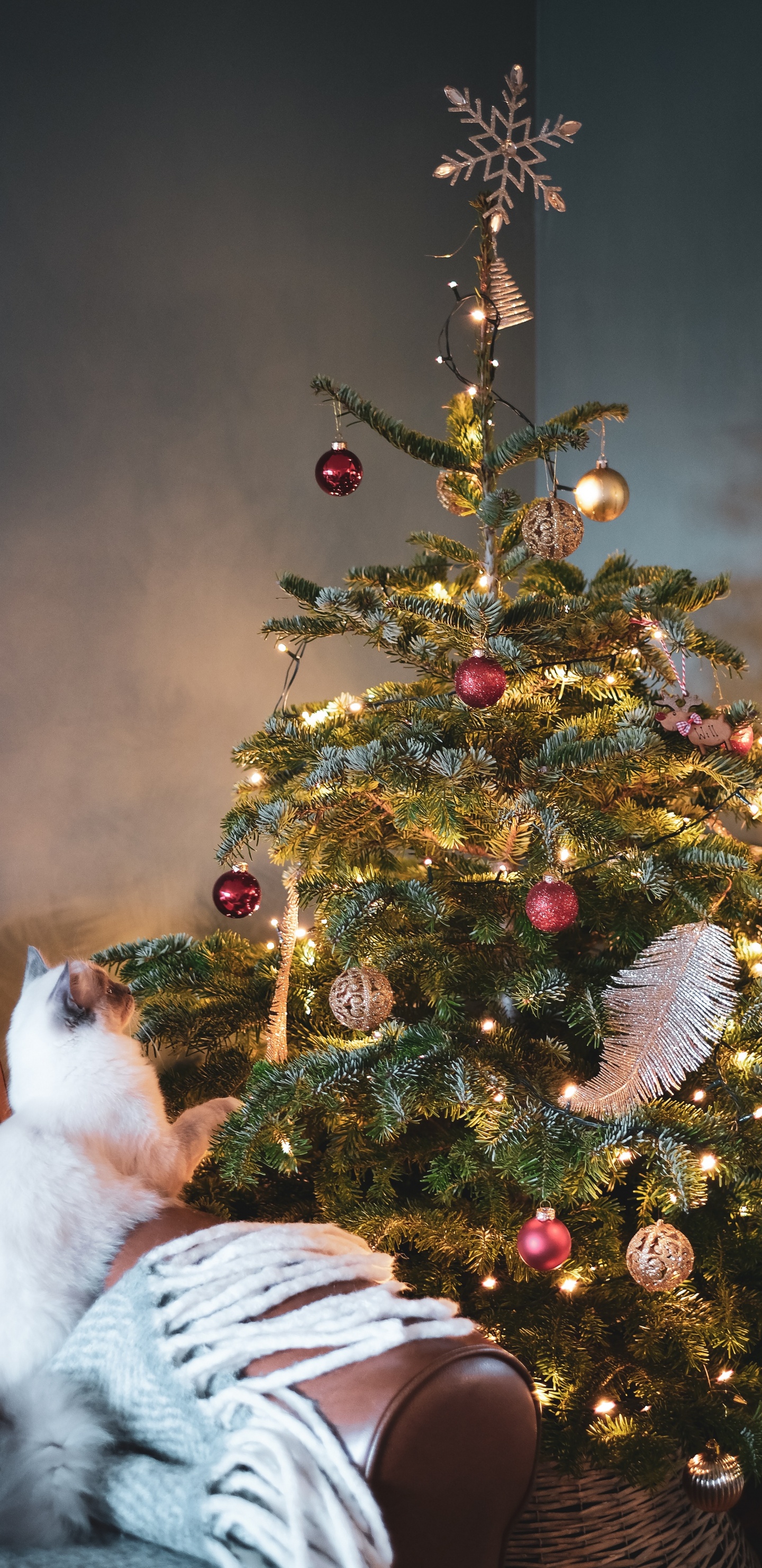 Weihnachtsbaum, Baum-topper, Verzierung, Christmas Ornament, Weihnachtsbaumspitze. Wallpaper in 1440x2960 Resolution