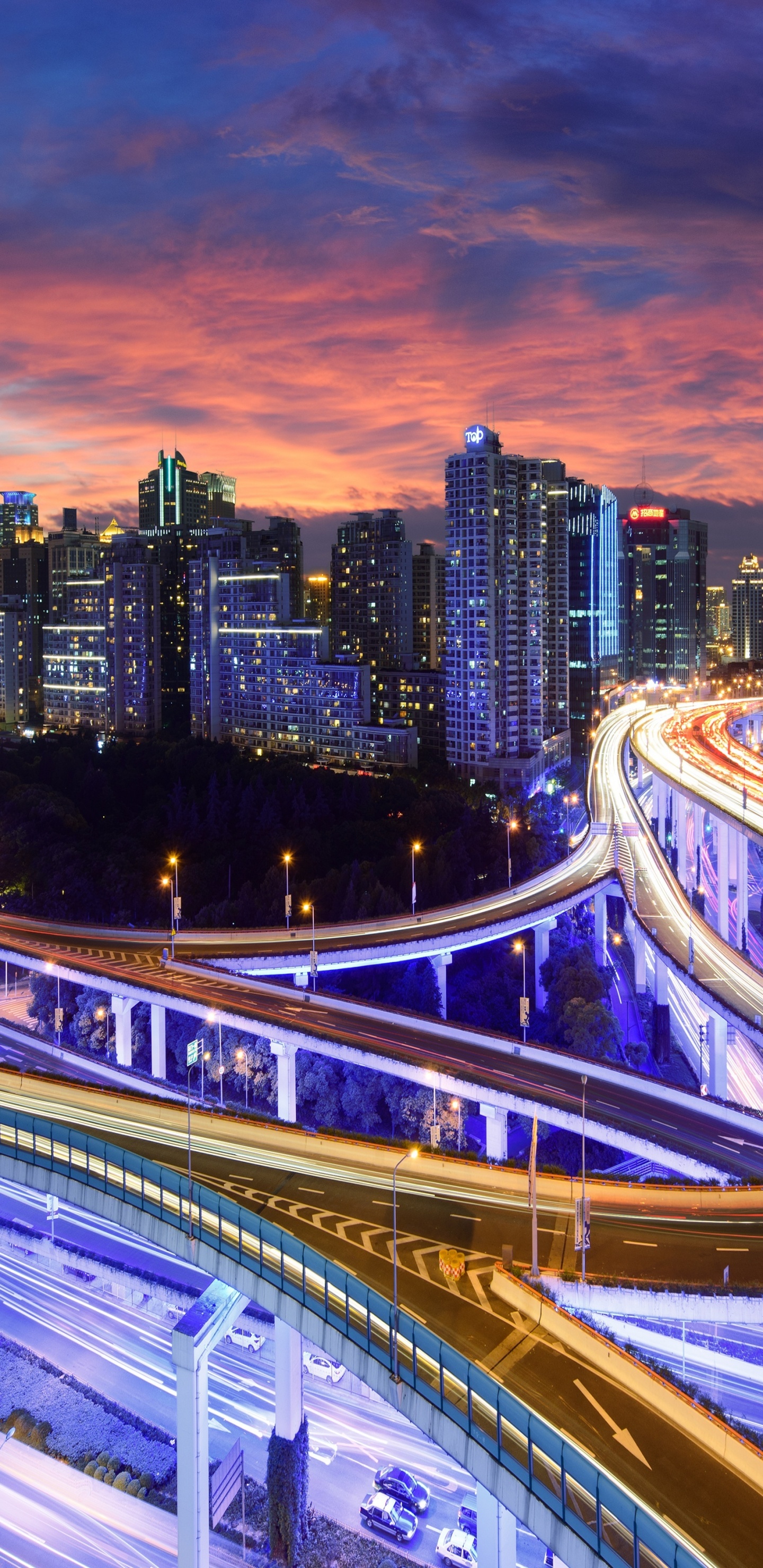 城市, 城市景观, 大都会, 里程碑, 天桥 壁纸 1440x2960 允许