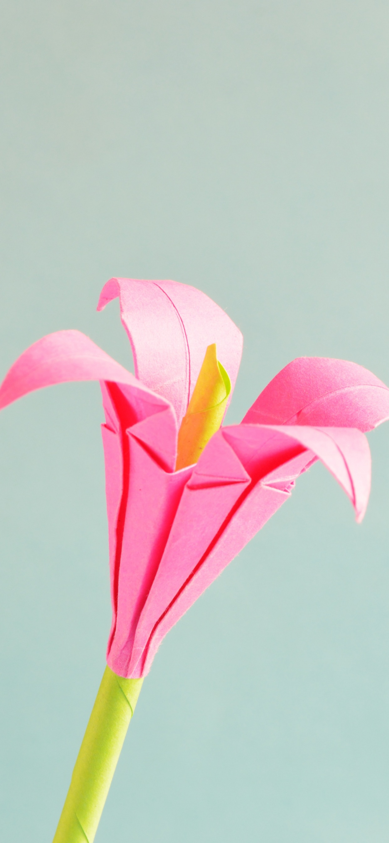 Fleur Rose et Jaune Avec Tige Verte. Wallpaper in 1242x2688 Resolution