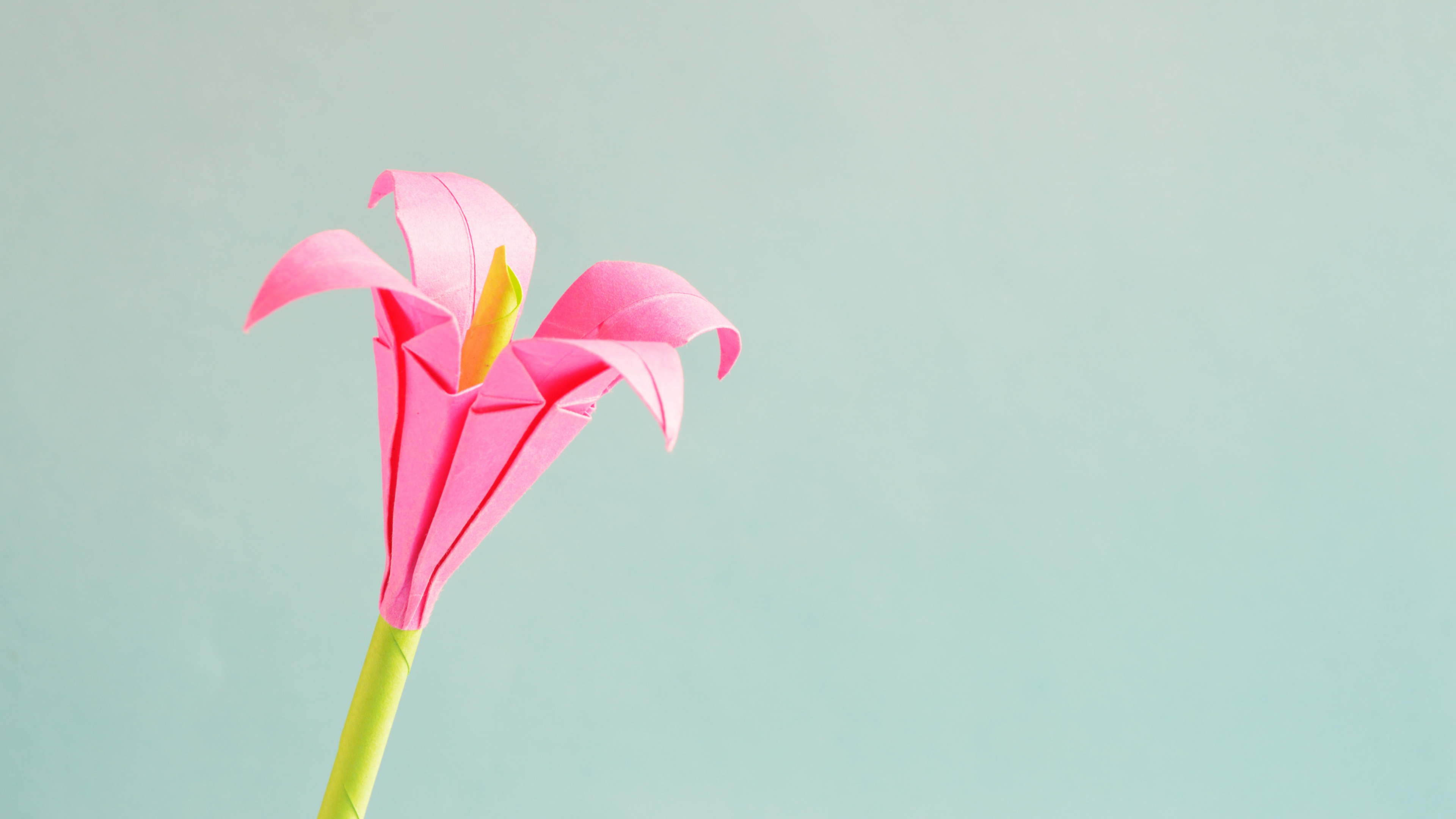 折纸, 手艺, 粉红色, 植物干, 显花植物 壁纸 3840x2160 允许