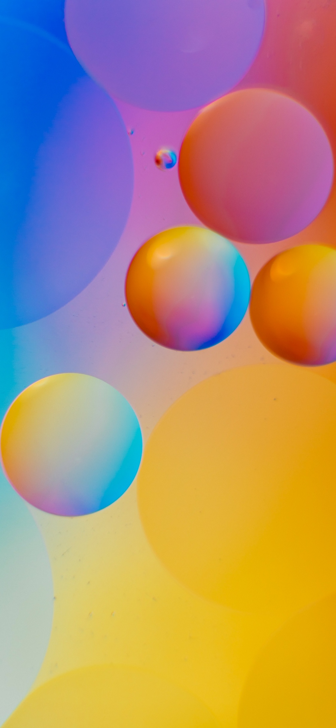 Orange, Mathematik, Wissenschaft, Farbigkeit, Kunst. Wallpaper in 1125x2436 Resolution