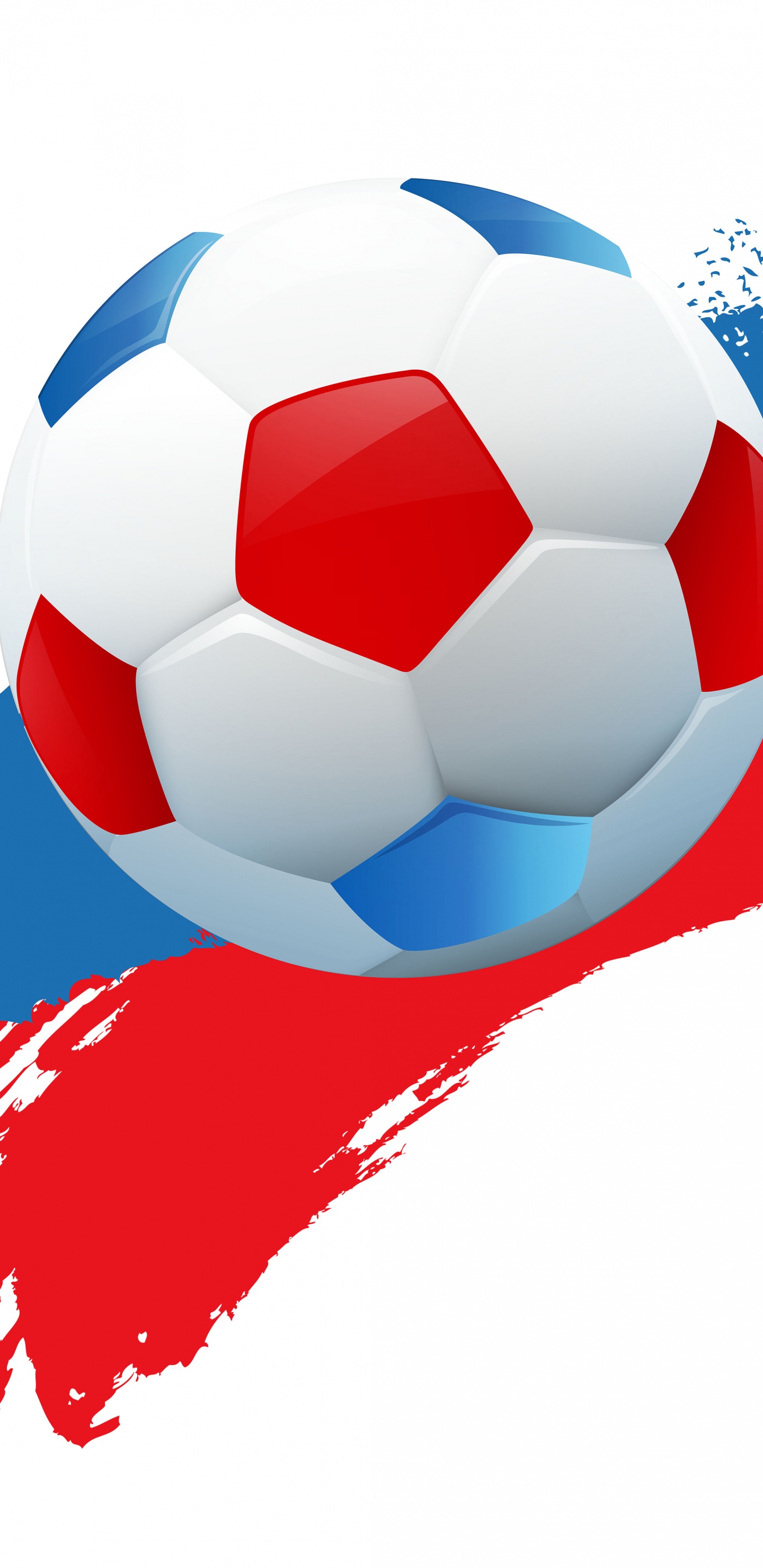 2018年世界杯, 球, 国际足联, 足球, 体育设备 壁纸 1440x2960 允许