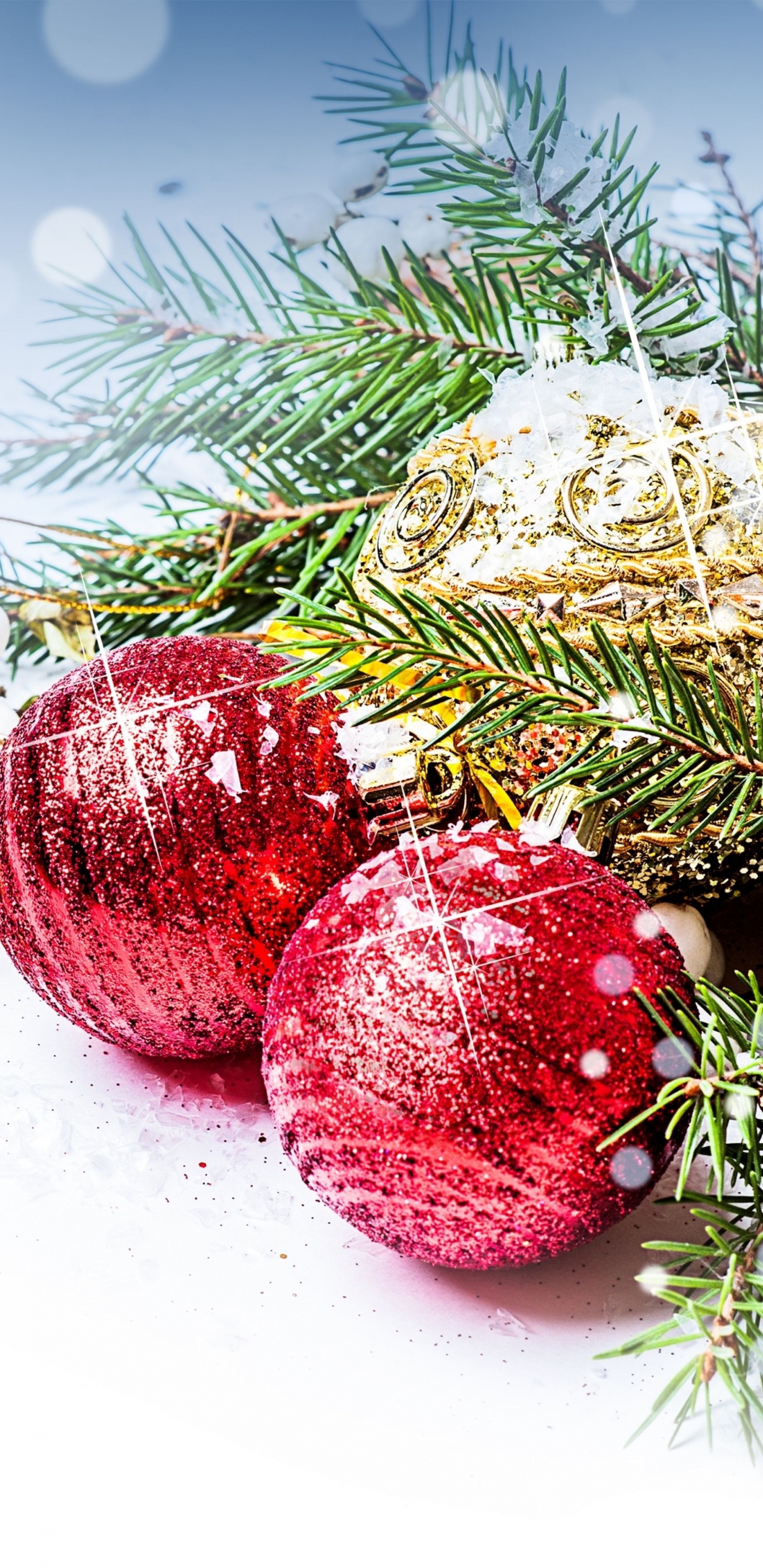 Adorno de Navidad, El Día De Navidad, Nochevieja, Decoración de la Navidad, Sucursal. Wallpaper in 1440x2960 Resolution