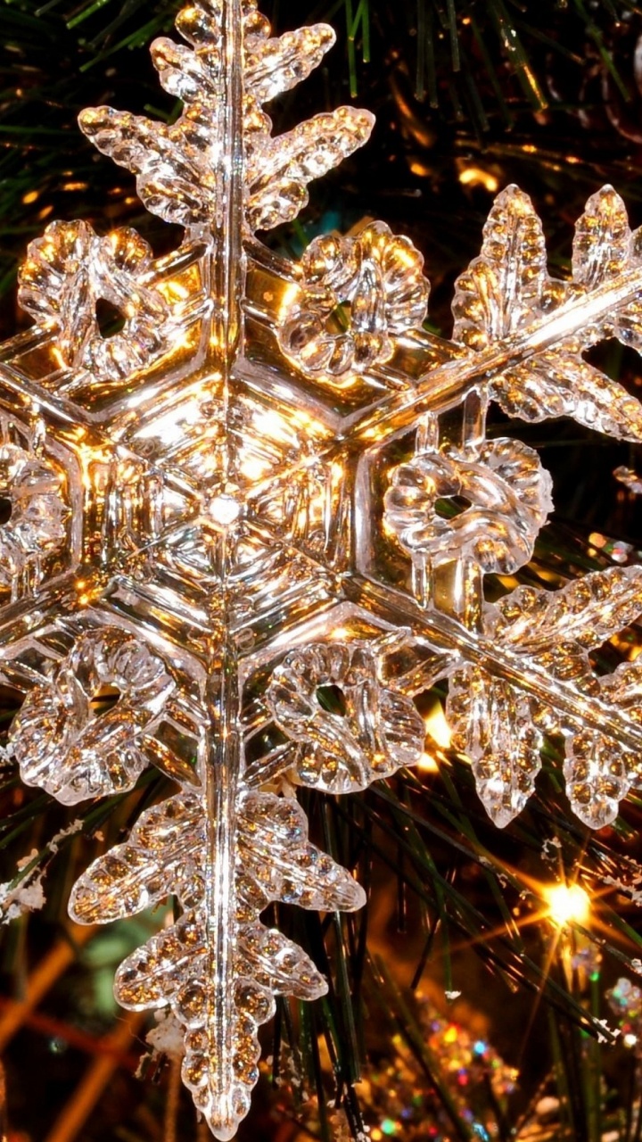 Tree, Christmas, Light, Lighting, Christmas Decoration. Wallpaper in 720x1280 Resolution