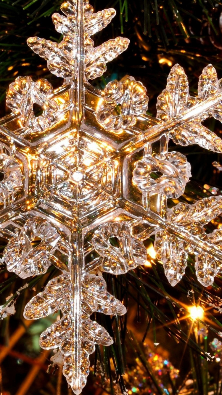 Tree, Christmas, Light, Lighting, Christmas Decoration. Wallpaper in 750x1334 Resolution