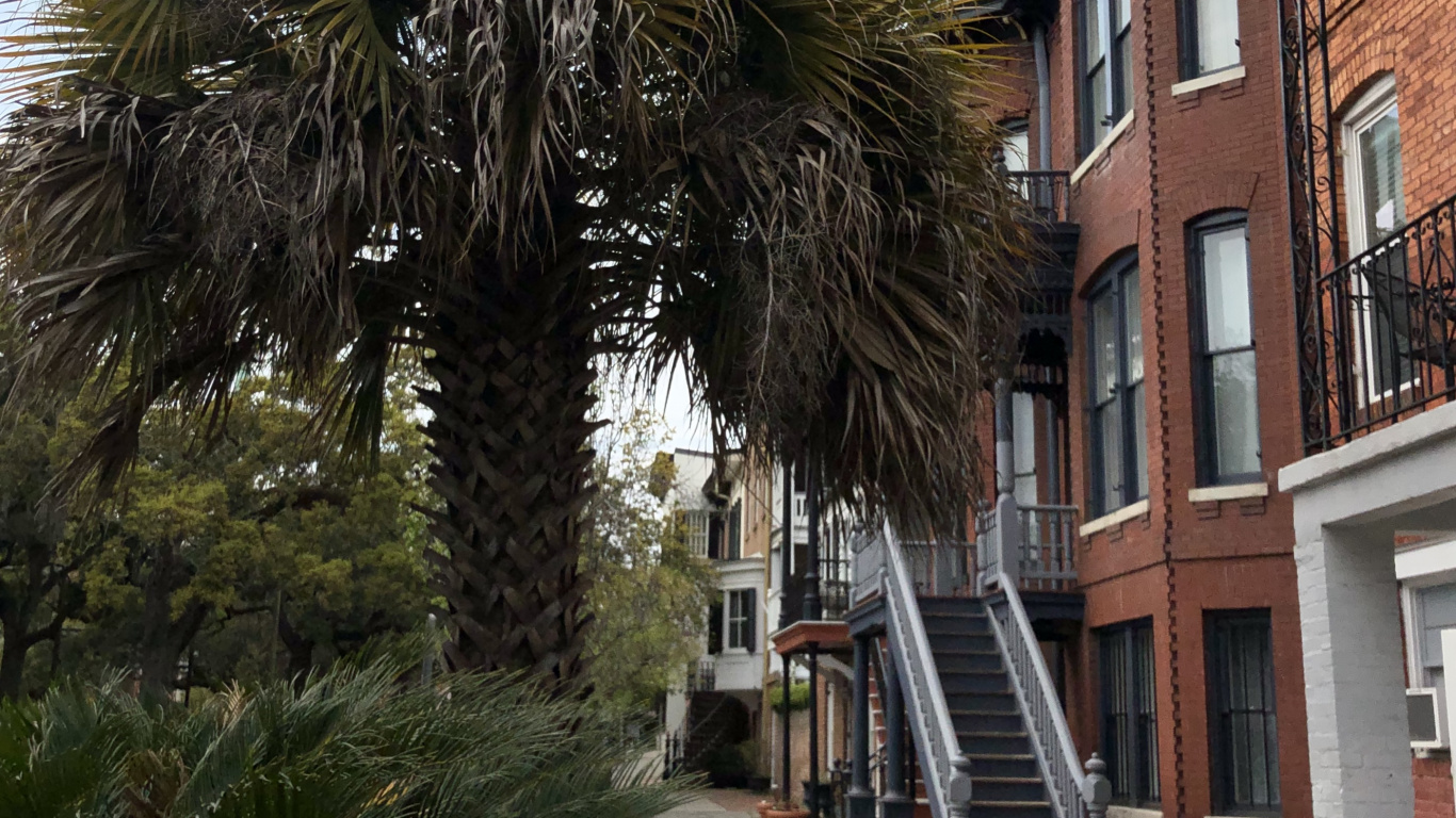 Window, Palm Trees, Real Estate, Stairs, Woody Plant. Wallpaper in 1366x768 Resolution