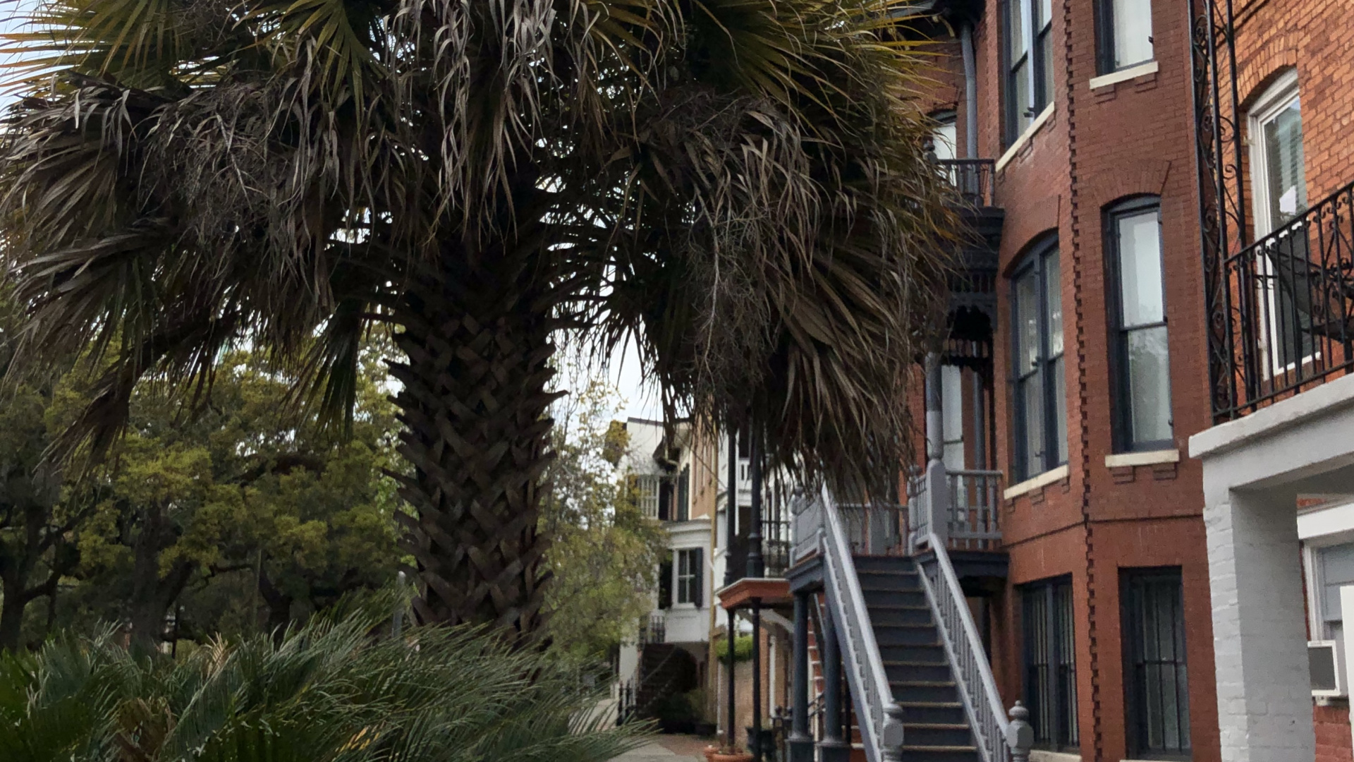 Window, Palm Trees, Real Estate, Stairs, Woody Plant. Wallpaper in 1920x1080 Resolution