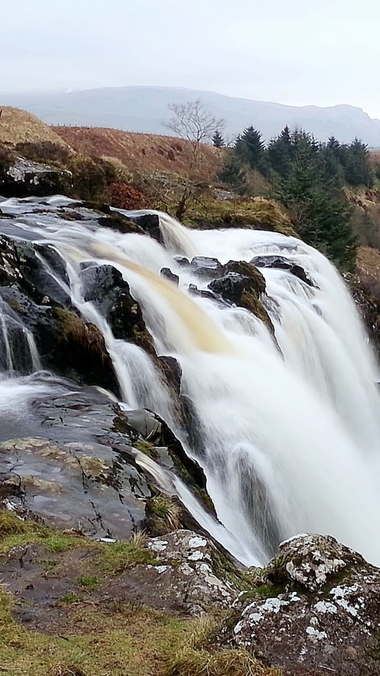 Cascades Sur Terrain D'herbe Brune et Verte Pendant la Journée. Wallpaper in 750x1334 Resolution