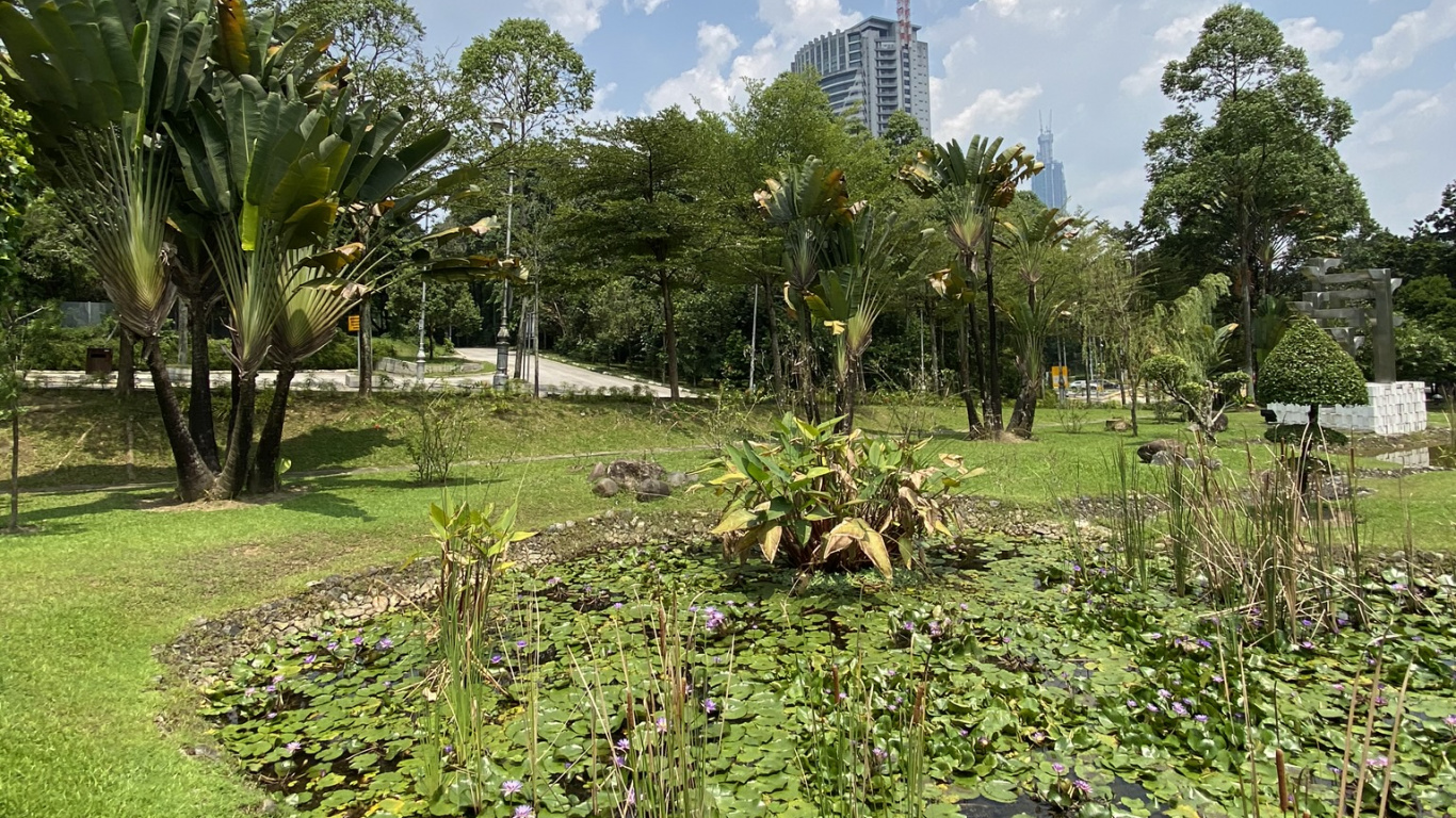 Vegetation, Plant, Cloud, Tree, Land Lot. Wallpaper in 1366x768 Resolution