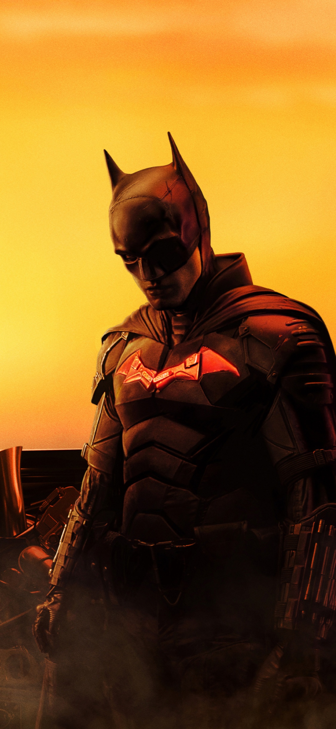 Batman, Catwoman, Alors Kravitz, dc Comics, Manche. Wallpaper in 1125x2436 Resolution