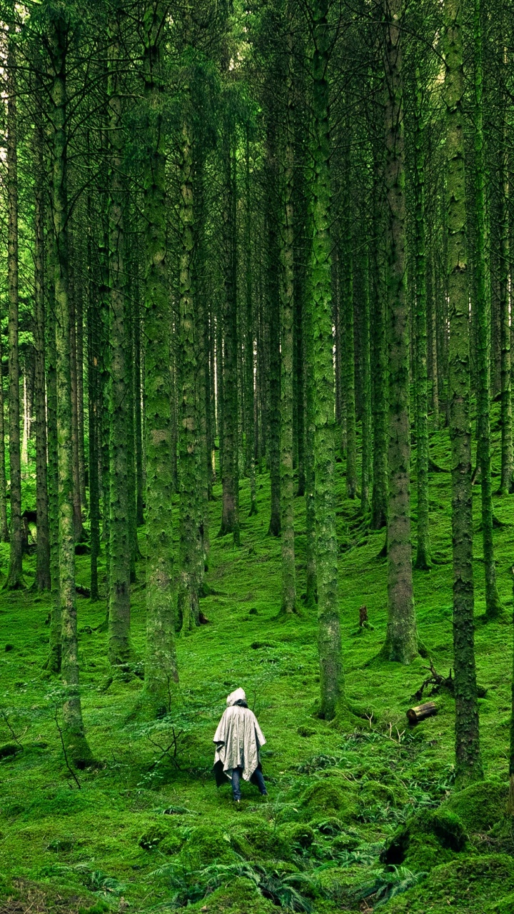 Luis Del Ro, Pflanzen-Gemeinschaft, Gr, Natürlichen Umgebung, Menschen in Der Natur. Wallpaper in 720x1280 Resolution