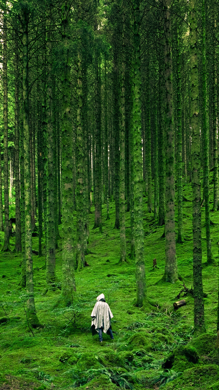 Luis Del Ro, Plant, Plant Community, Green, Natural Environment. Wallpaper in 750x1334 Resolution