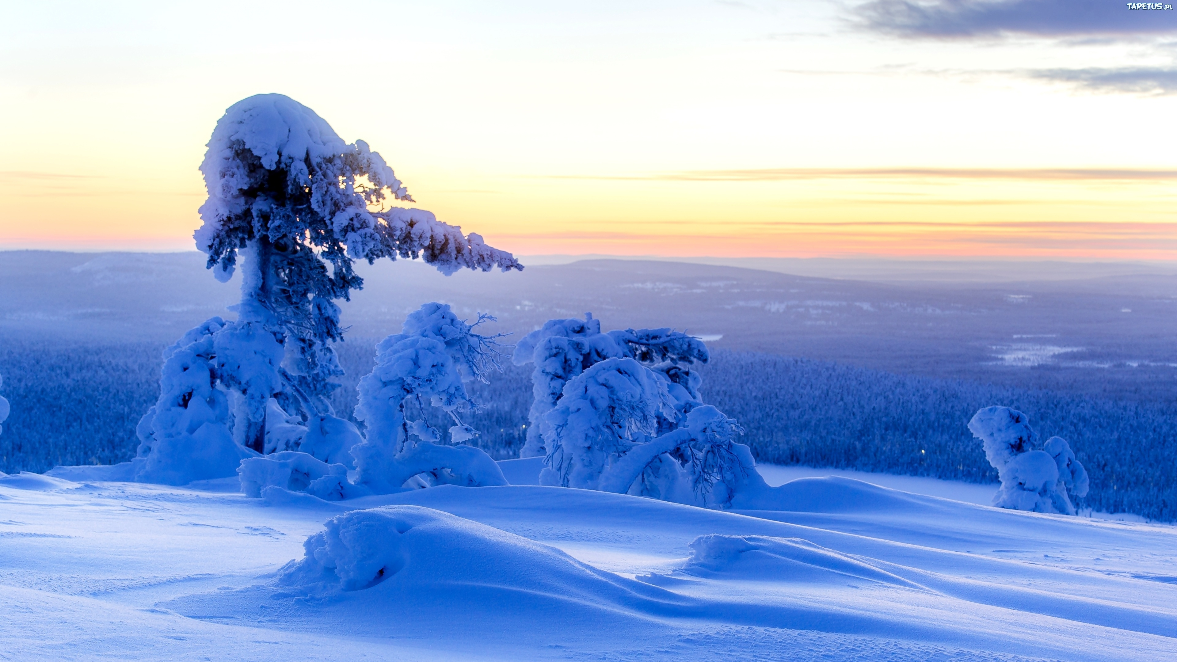 Arbres Couverts de Neige Sur un Sol Couvert de Neige Pendant la Journée. Wallpaper in 3840x2160 Resolution