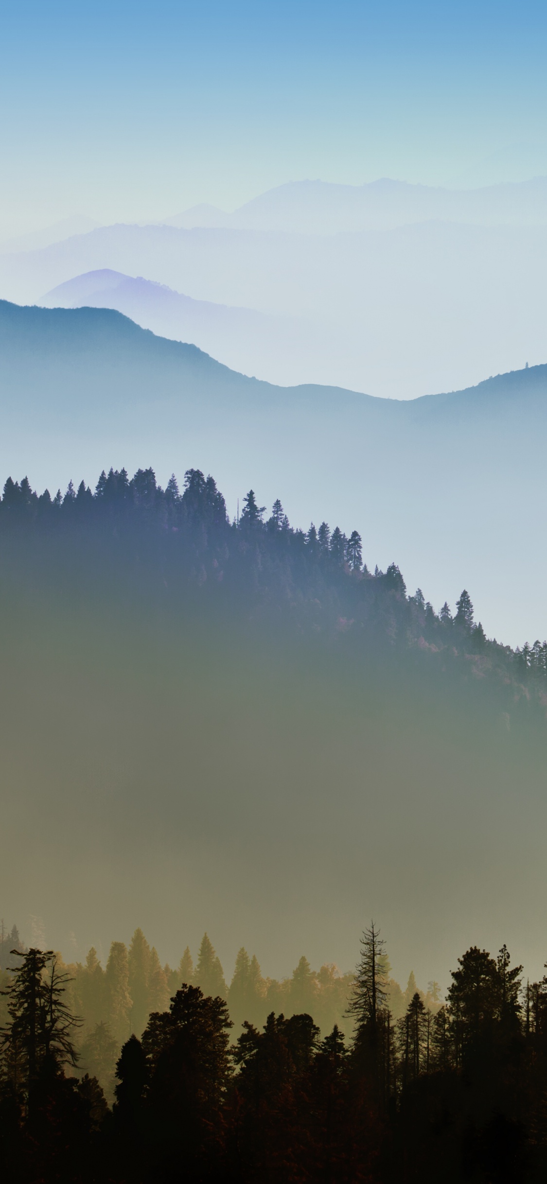 Green Trees on Mountain During Daytime. Wallpaper in 1125x2436 Resolution