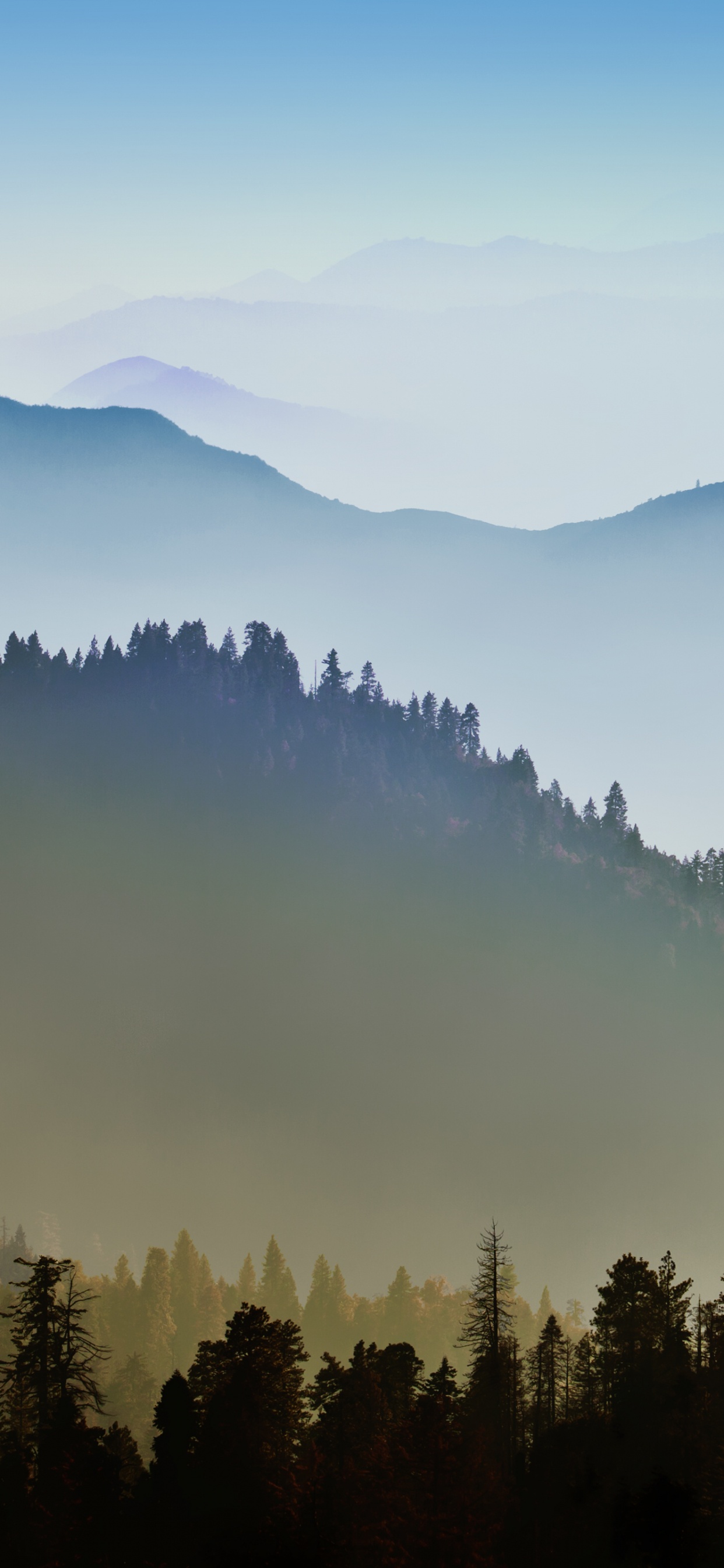 Green Trees on Mountain During Daytime. Wallpaper in 1242x2688 Resolution