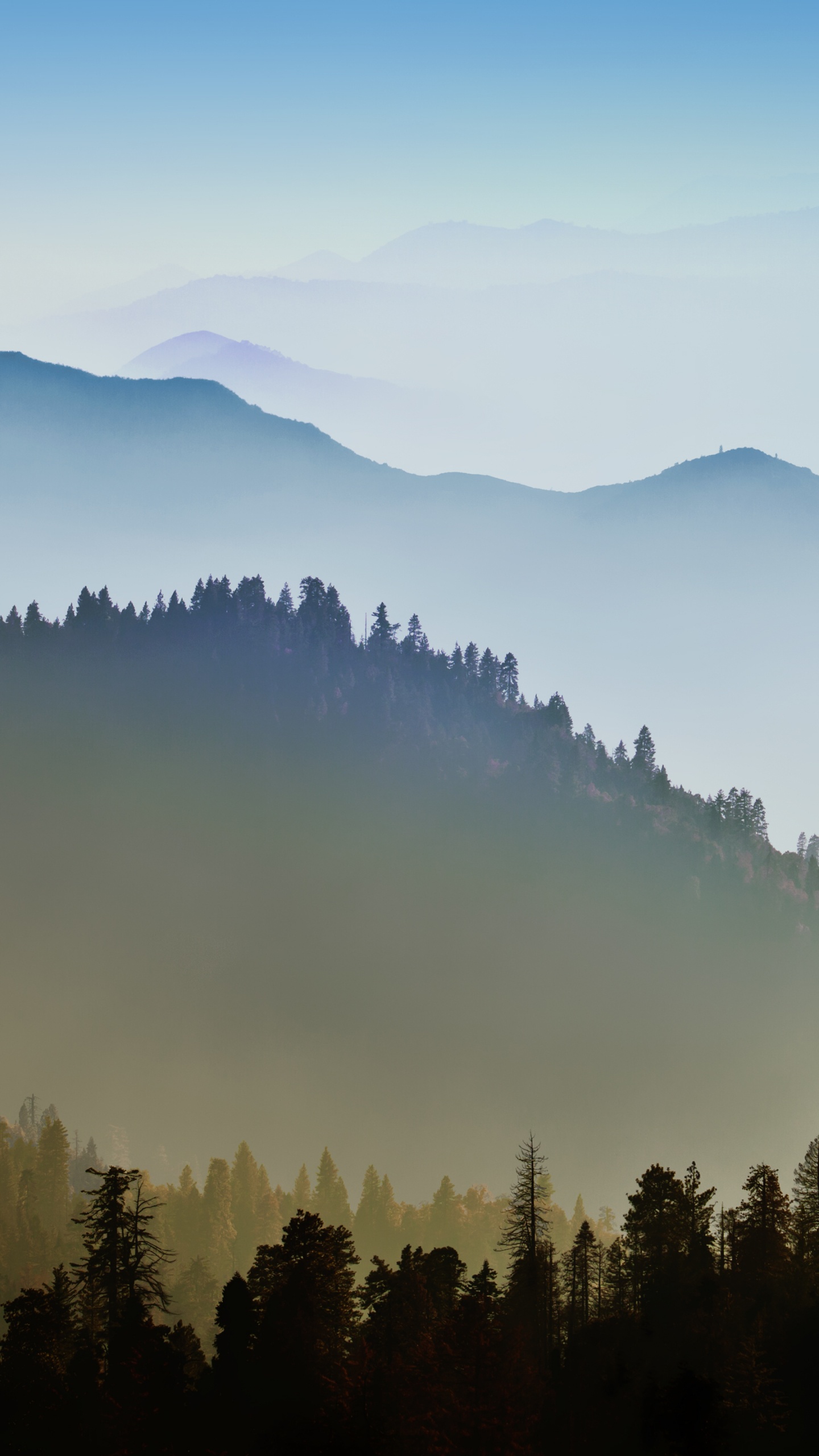 Green Trees on Mountain During Daytime. Wallpaper in 1440x2560 Resolution