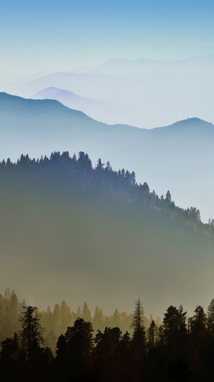 Green Trees on Mountain During Daytime. Wallpaper in 720x1280 Resolution