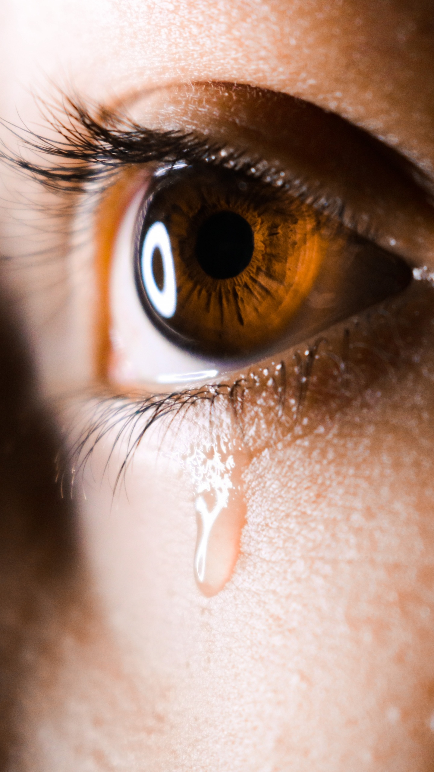 Oeil de Personnes Dans la Photographie en Gros Plan. Wallpaper in 1440x2560 Resolution