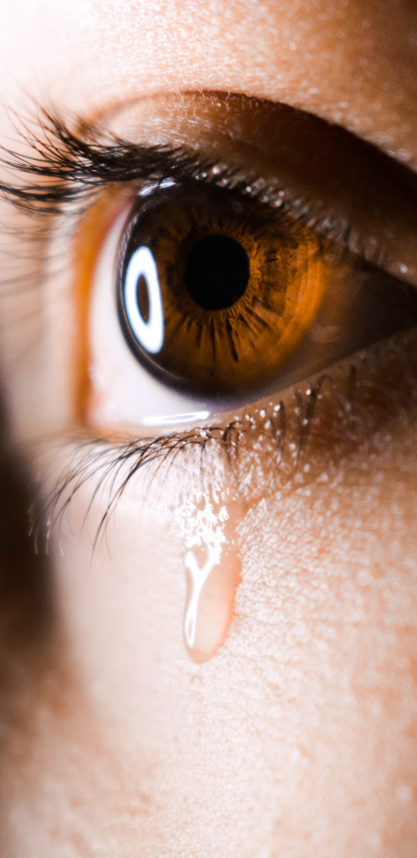 Ojo de Personas en Fotografía de Cerca. Wallpaper in 1440x2960 Resolution