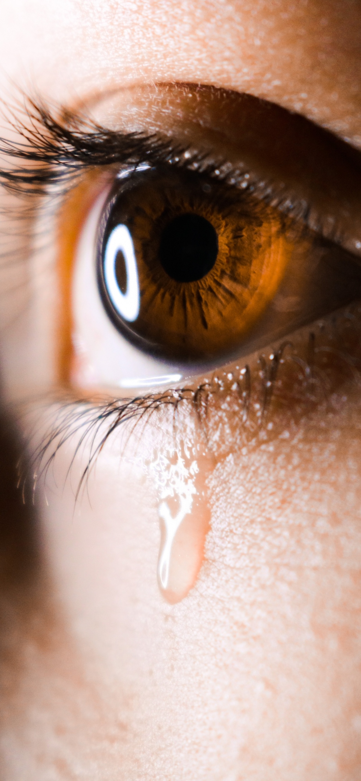 Persons Eye in Close up Photography. Wallpaper in 1242x2688 Resolution