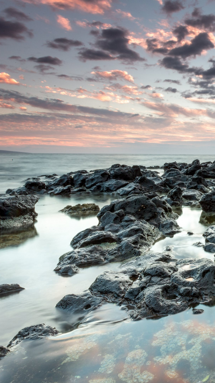 Rocky Shore Under Cloudy Sky During Daytime. Wallpaper in 750x1334 Resolution