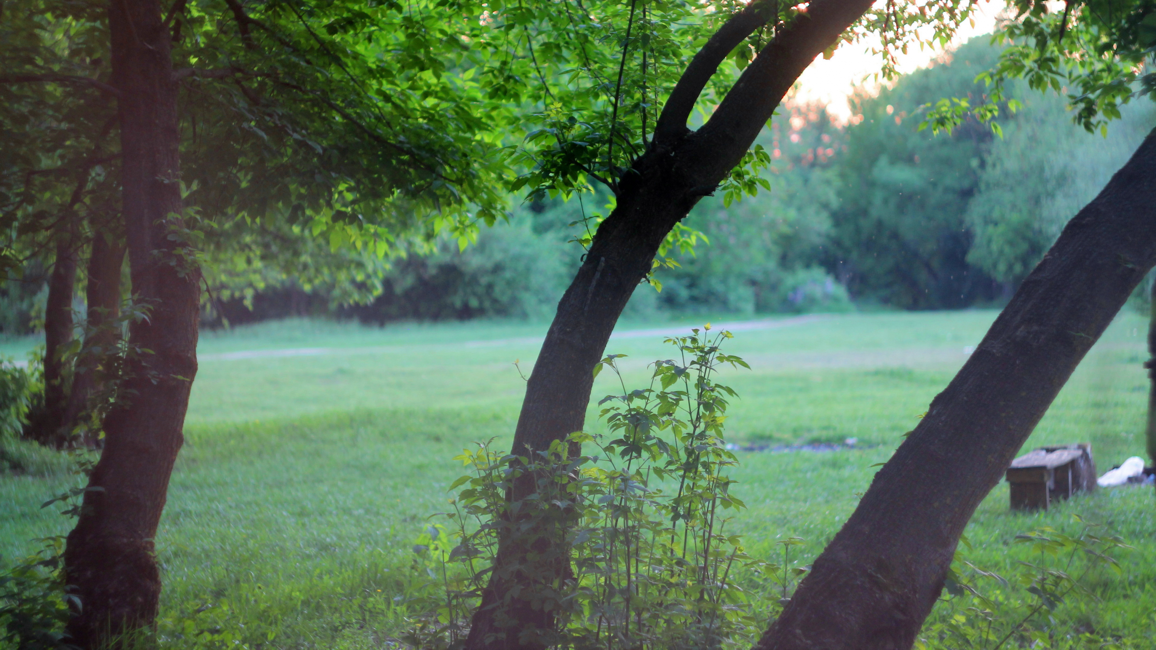 Green Grass Field Near Lake During Daytime. Wallpaper in 3840x2160 Resolution