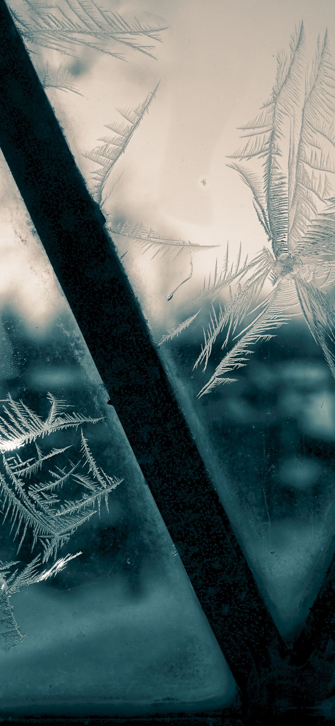 Gotas de Agua en la Ventana de Vidrio. Wallpaper in 1125x2436 Resolution