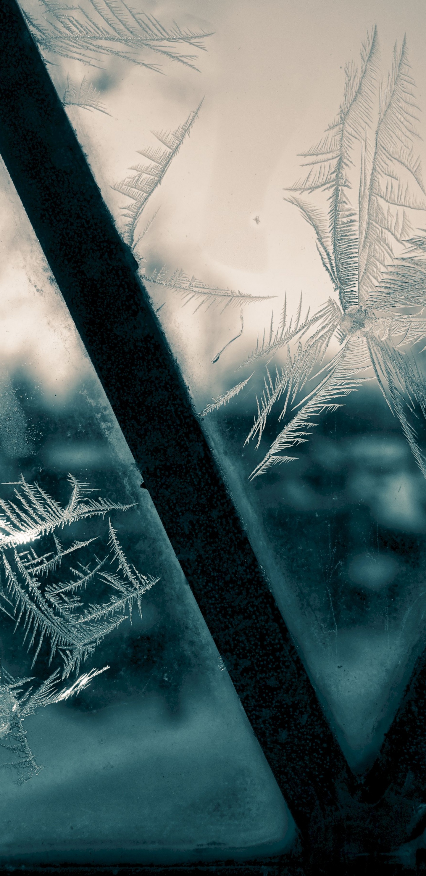 Gouttes D'eau Sur la Vitre. Wallpaper in 1440x2960 Resolution