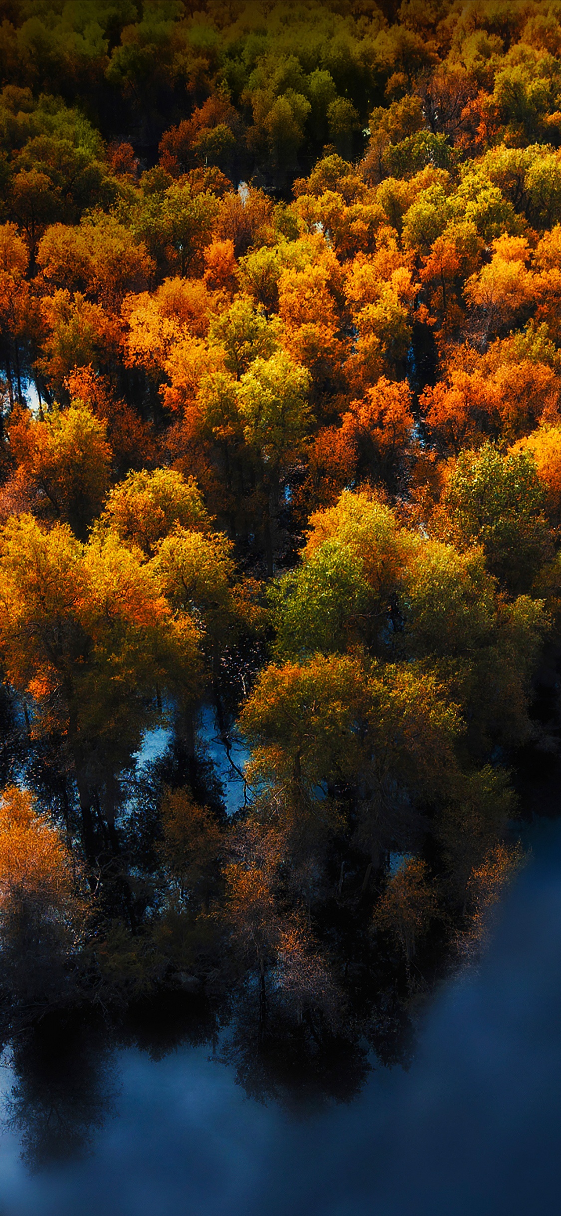 Huawei, Huawei Mate, Huawei Mate 40 Pro, Huawei P40, Huawei Mate 30. Wallpaper in 1125x2436 Resolution