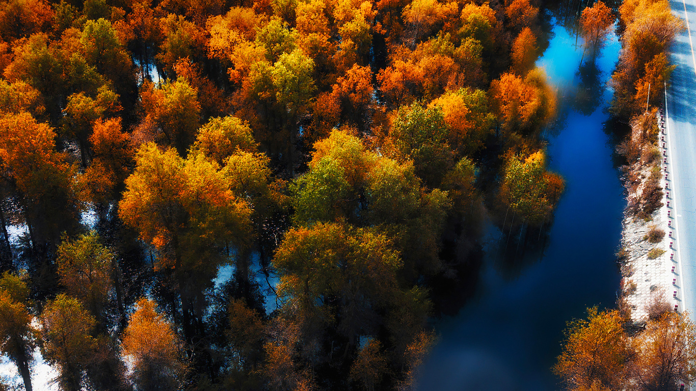 Huawei, Huawei Mate, Huawei Mate 40 Pro, Huawei P40, Huawei Mate 30. Wallpaper in 1366x768 Resolution