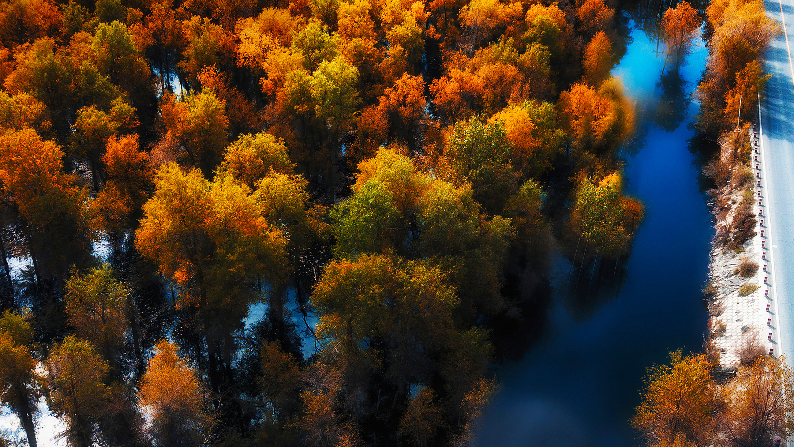 Huawei, Huawei Mate, Huawei Mate 40 Pro, Huawei P40, Huawei Mate 30. Wallpaper in 2560x1440 Resolution