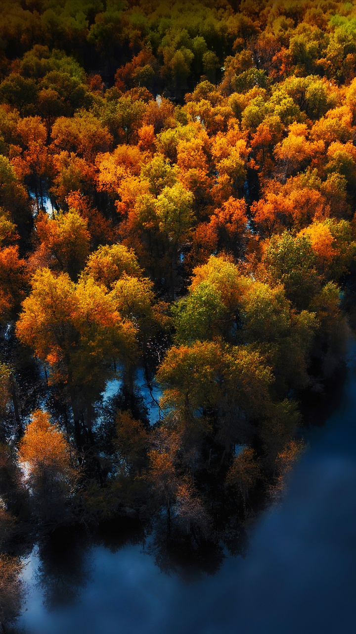 Huawei, Huawei Mate, Huawei Mate 40 Pro, Huawei P40, Huawei Mate 30. Wallpaper in 720x1280 Resolution