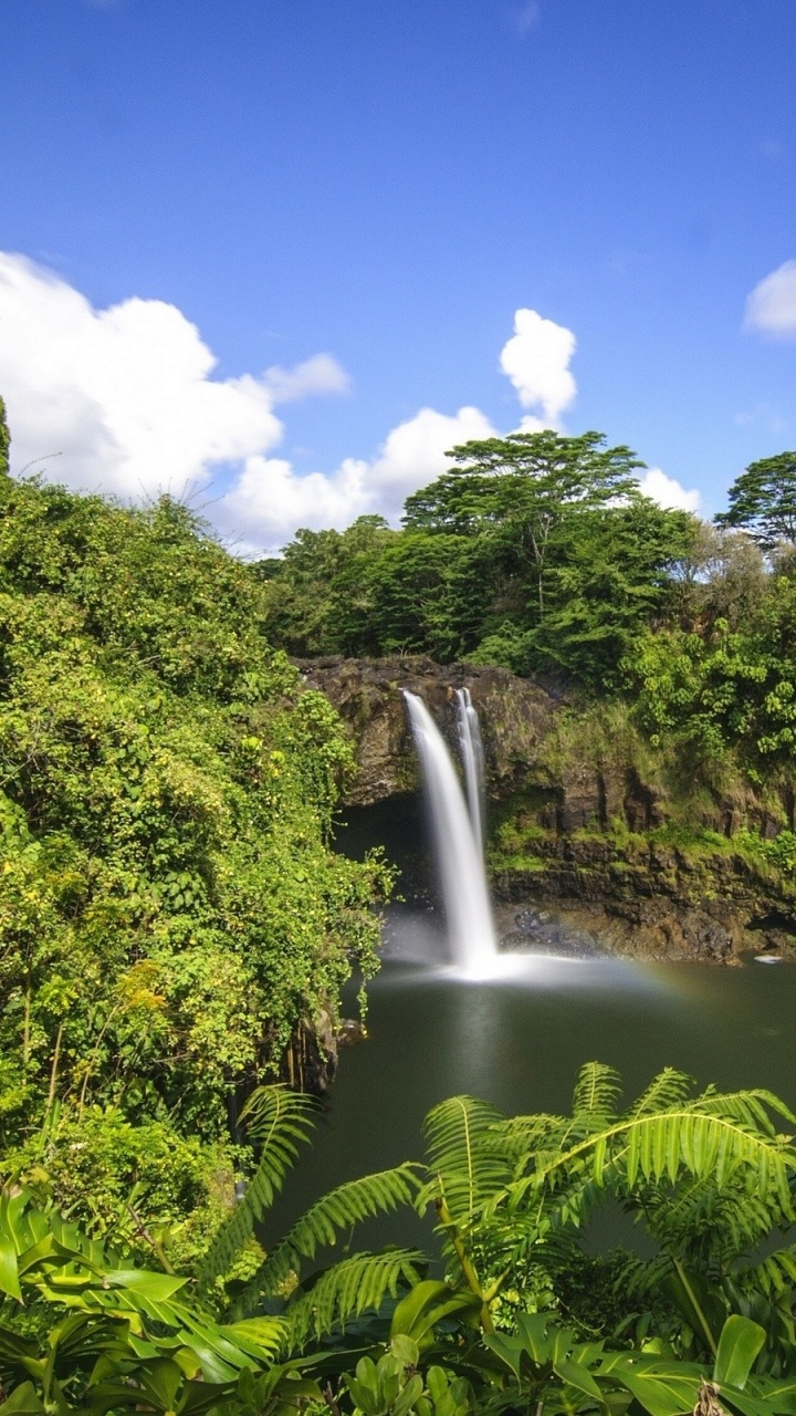 Árboles Verdes Cerca de Cascadas Bajo un Cielo Azul Durante el Día. Wallpaper in 720x1280 Resolution