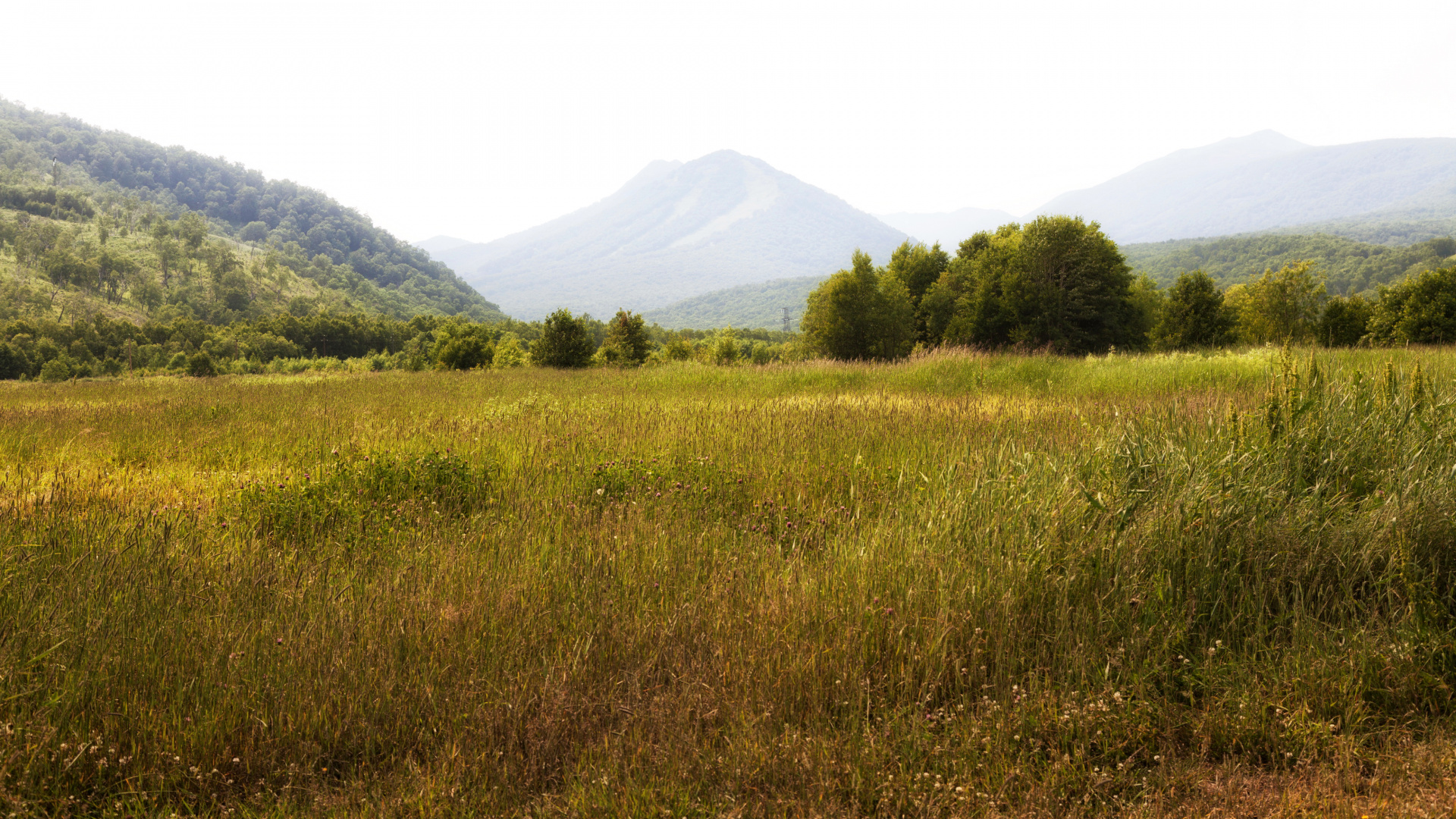 Green Grass Field Near Green Mountain During Daytime. Wallpaper in 1920x1080 Resolution