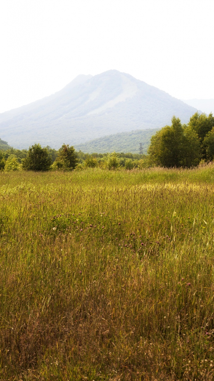 Green Grass Field Near Green Mountain During Daytime. Wallpaper in 720x1280 Resolution