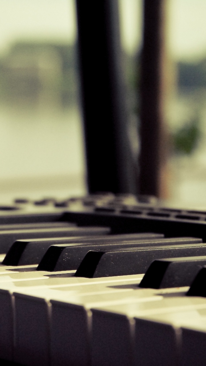 Klavier, Tastatur, E-piano, Musikalische Tastatur, Elektronisches Instrument. Wallpaper in 720x1280 Resolution